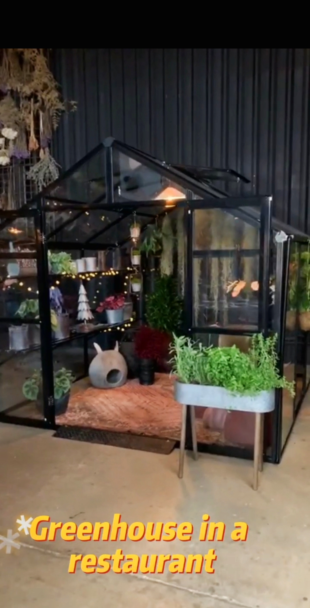 THE GREENHOUSE IN A RESTAURANT