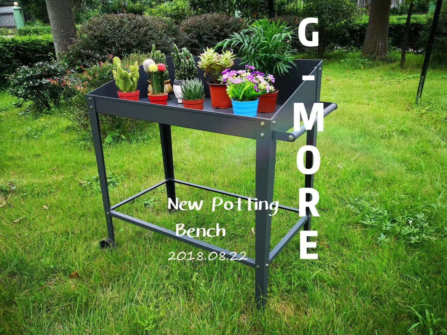 It will be more lovely with lovely meat plants