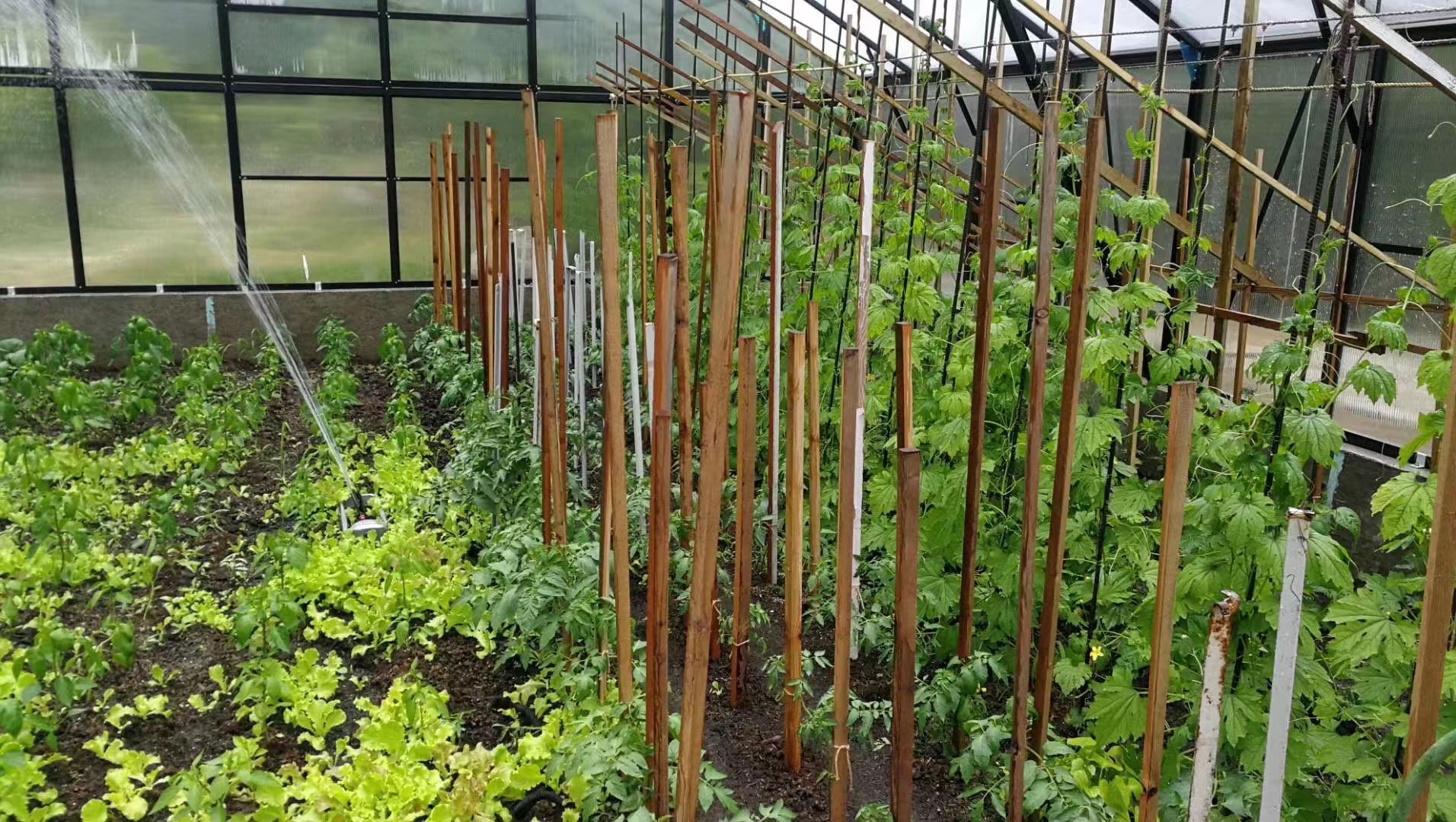 G-MORE GARDEN BUILDINGS GREENHOUSE
