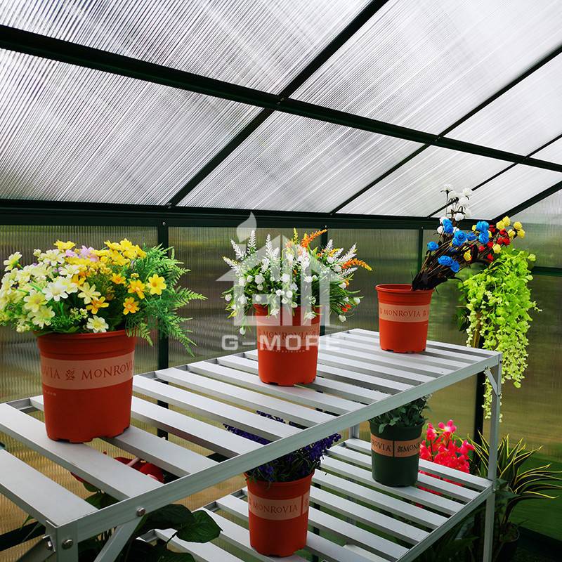 G-more Lite Series Best Price Greenhouse for sale-GL035