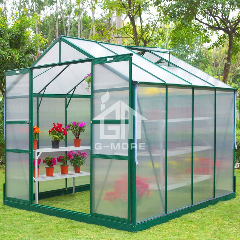 286x285cm Aluminum Greenhouse Manufacturer G-MORE Traditional Series Aluminum/Polycarbonate Hobby Greenhouse