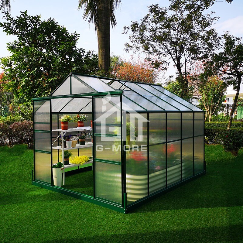 8'x10' G-more Lite Series Best Price Greenhouse for sale-GL035