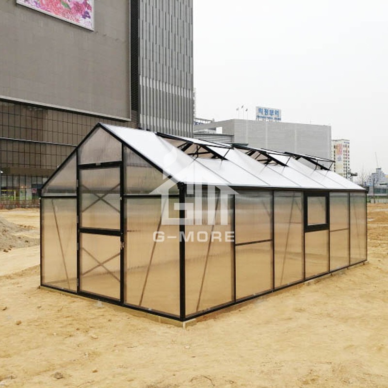 10'x20' Titan Greenhouse, G-MORE Outdoor Modular Garden Greenhouse Kit for Sale - GM32306