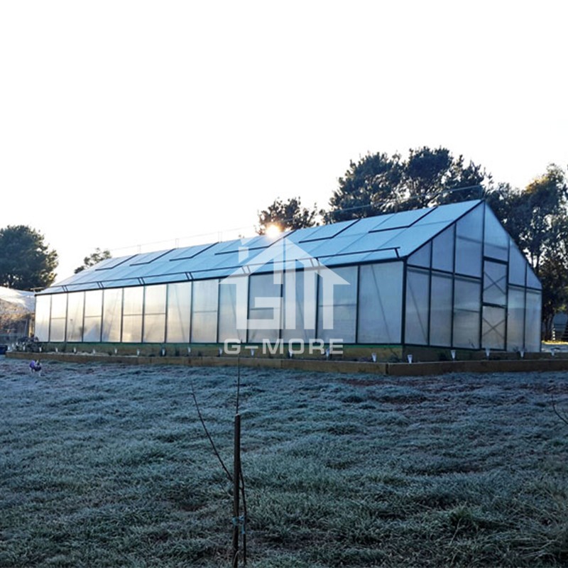 16'x46' G-MORE 5M Width Series, Strong Aluminm Frame 10MM Polycarbonate Panels - 5M X 14M