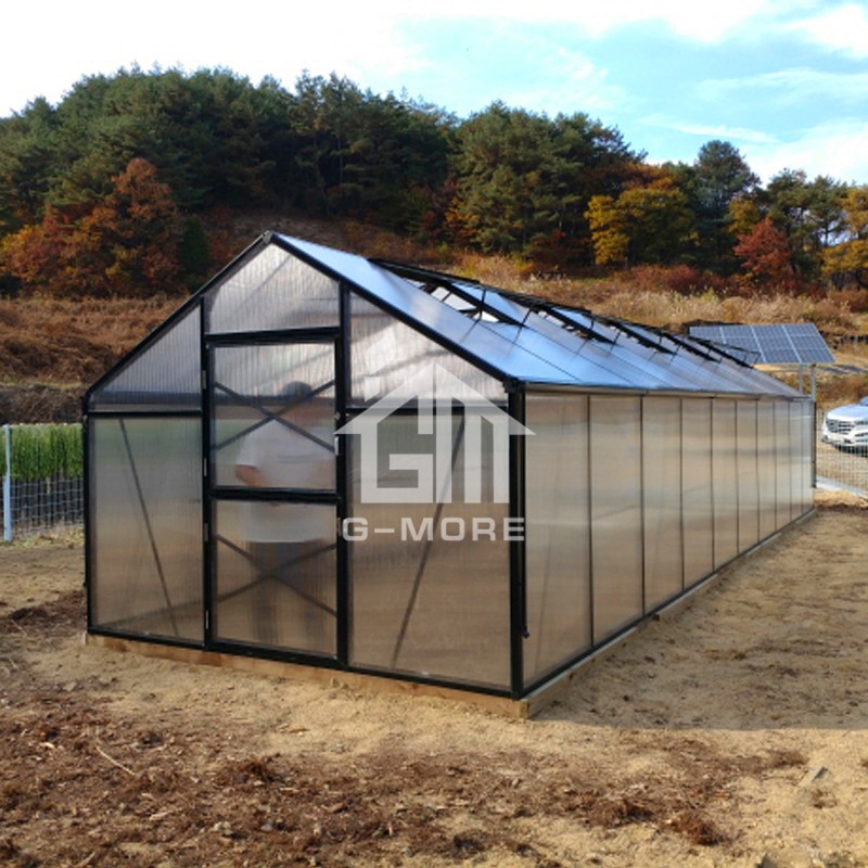 10' X 33' Titan Greenhouse, G-MORE Titan Series Wholesale Transparent polycarbonate PC Aluminium Garden Greenhouse - GM32310