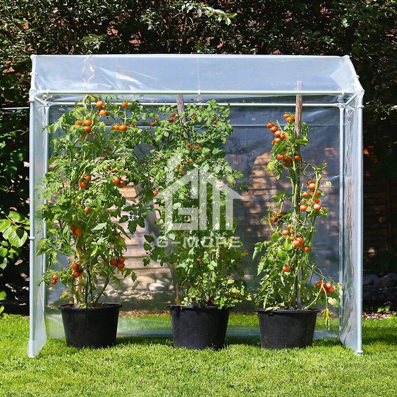 G-MORE Tomato Greenhouse